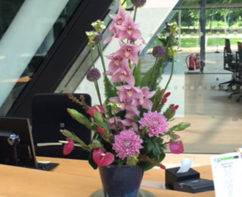 Fleurs-amanda-Surrey-funeral-flowers-office-flowers
