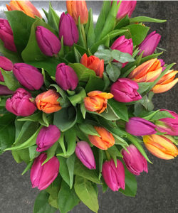 Fleurs-amanda-weybridge-Surrey-tulips