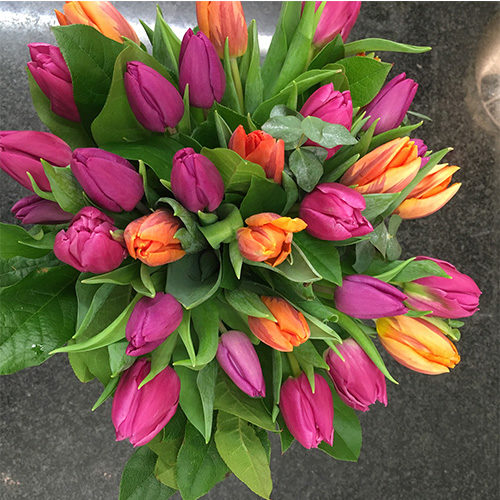 Fleurs-amanda-weybridge-Surrey-tulips