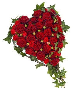 Fleurs Amanda-Weybridge-Surrey-Funeral flowers-Red-Roses-Pillow-Cushion