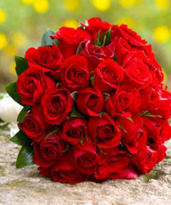 Fleurs-amanda-Surrey-Valentine's-day-Red-Roses-24
