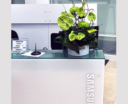 Fleursamanda.co.uk-office-flowers