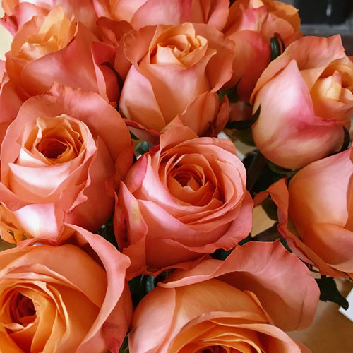 Fleursamanda Florist Surrey Pink Roses